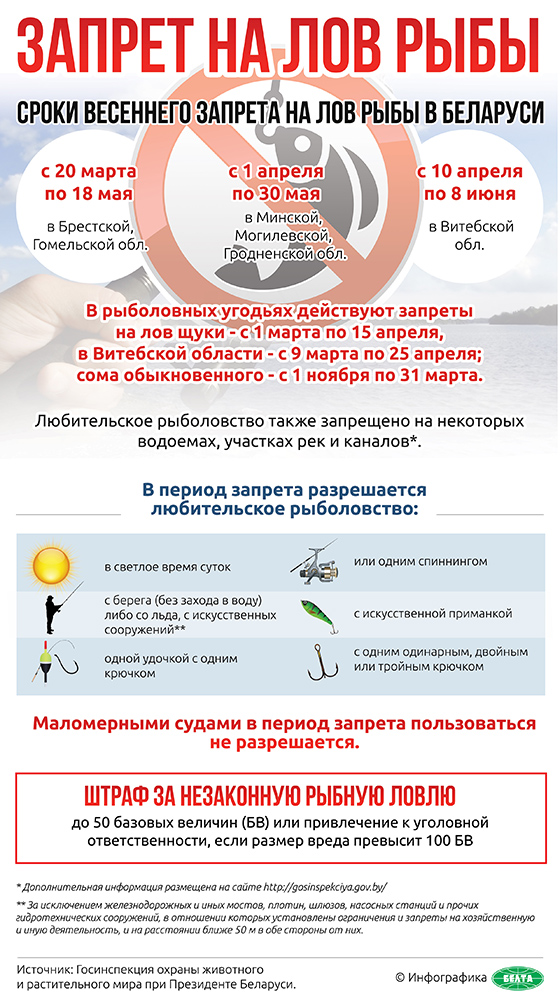 когда весной можно ловить рыбу в запрет когда весной можно ловить рыбу в запрет