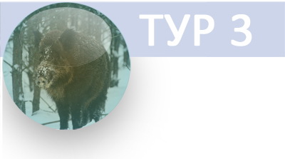 Tur3.jpg Tur3.jpg