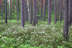 08_08.jpg