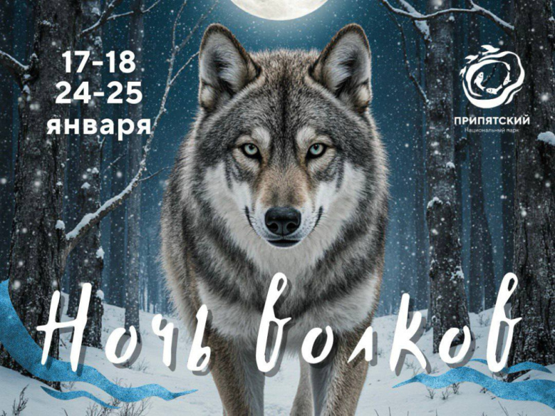 «Ночь Волков» 6.0 и 7.0