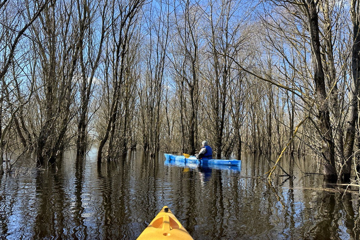 «Море Геродота»