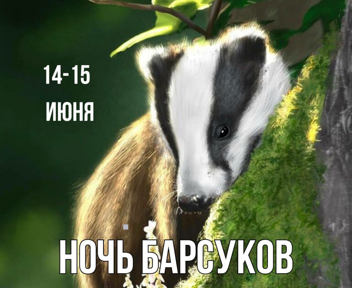 Ночь барсуков