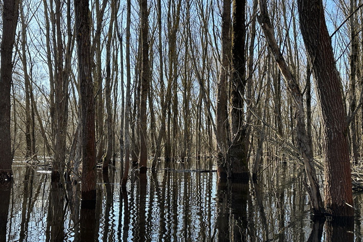 «Море Геродота»