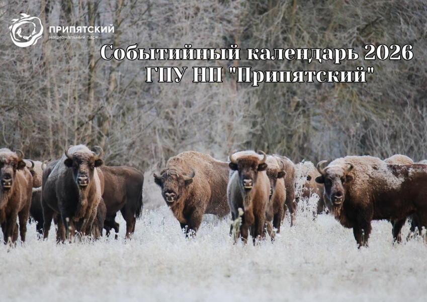 Событийный календарь 2026