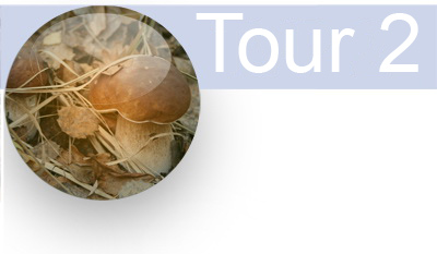 tour_2_en.jpg tour_2_en.jpg