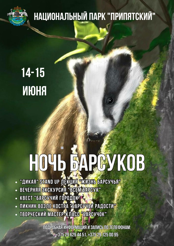 Ночь барсуков 2025.jpg
