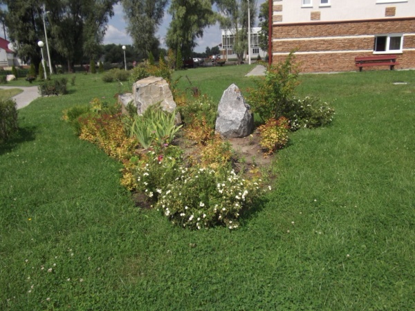 DSCF1378small_4.jpg