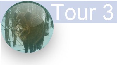tour_3_en.jpg tour_3_en.jpg