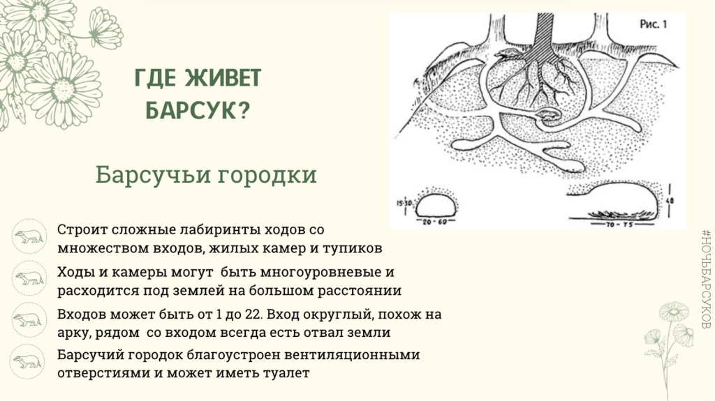 Снимок экрана 2025-06-18 в 18.00.05.jpg