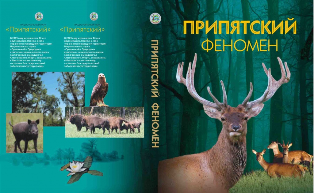 Oblogka olbom.jpg