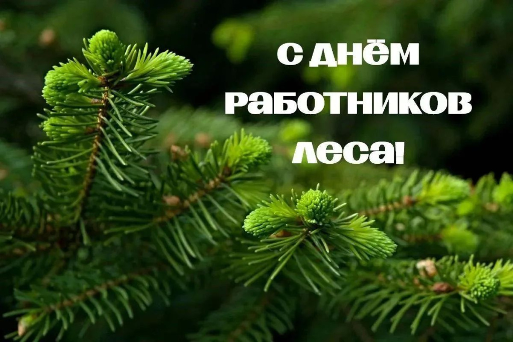 изображение_viber_2026-09-20_10-50-57-504.jpg