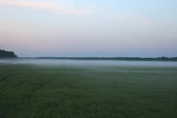 00010_2_7.jpg