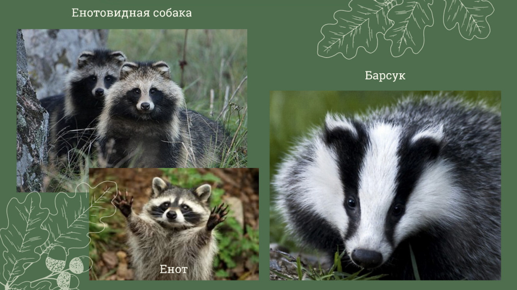 Снимок экрана 2025-06-18 в 18.00.52.jpg